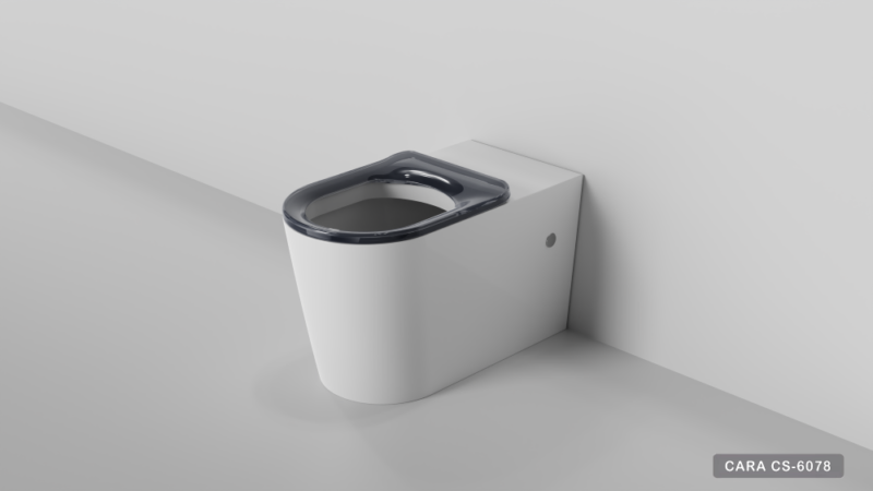 CARA CARE | PNUEMATIC IN-WALL CISTERN | DISABLE | IN-WALL TOILET