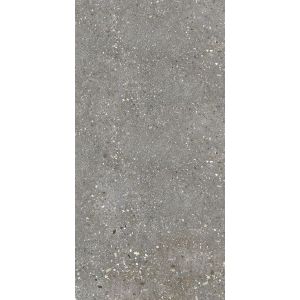 T-STONE 2.0 | ASH | MATT | 300X600