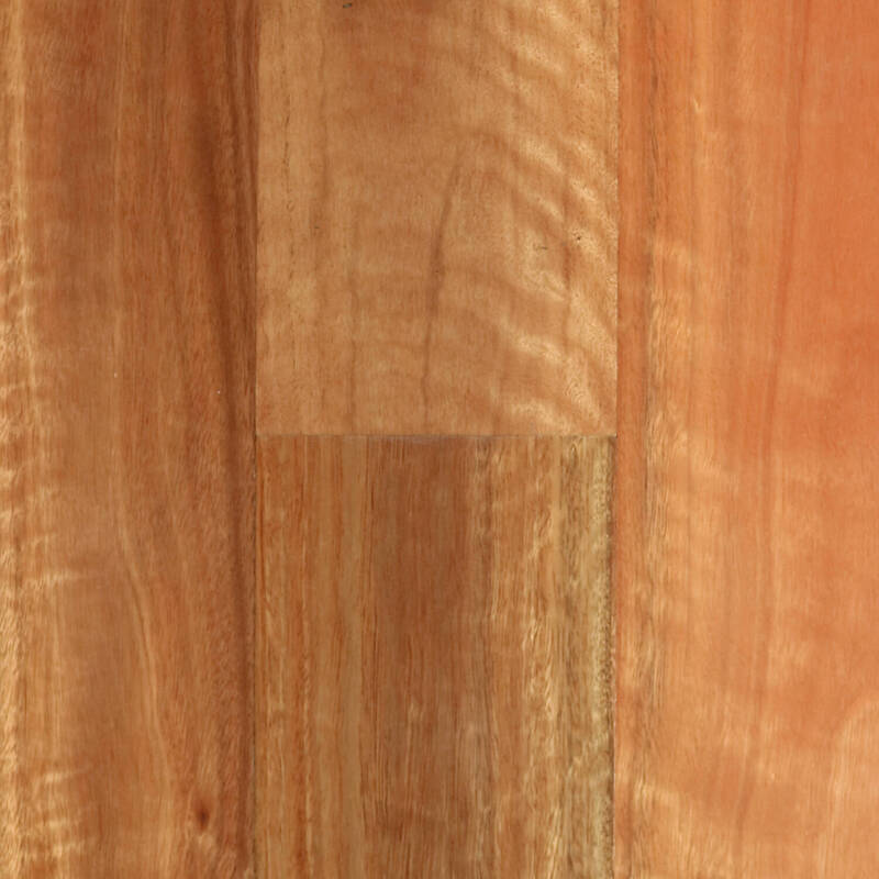 ENGINEERED TIMBER | SPOTTED GUM | 5G/ 1STRIP | 1830X136X13.5/3MM