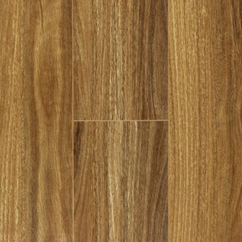 HD | LAMINATE FLOORING 12MM | NSW SPOTTED GUM