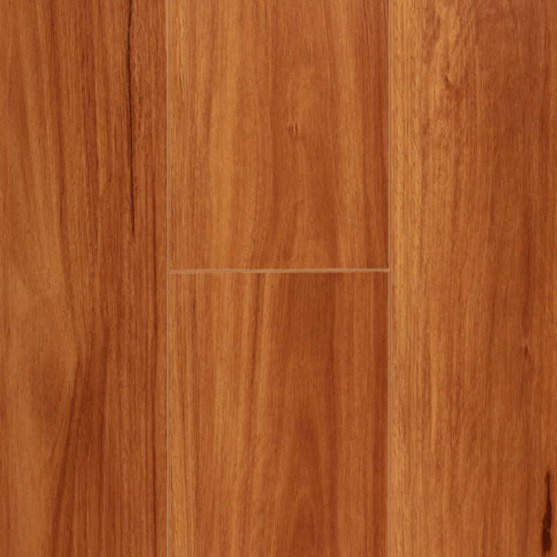 HD | LAMINATE FLOORING 12MM | SYDNEY BLUE GUM