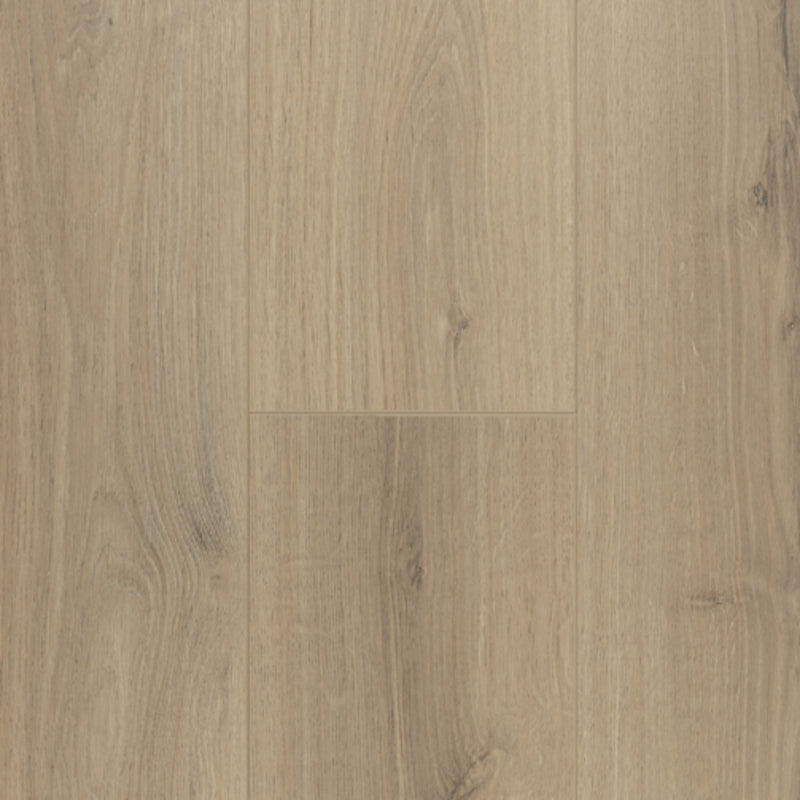PINACO | LAMINATE FLOORING 12MM | GRIS