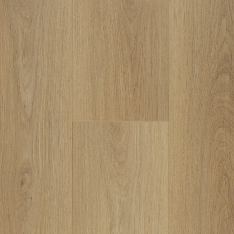 PINACO | LAMINATE FLOORING 12MM | BEHANY