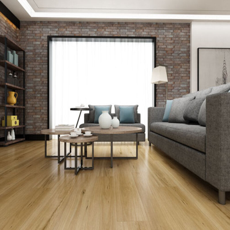 HD | LAMINATE FLOORING 12MM | COASTAL BLACKBUTT