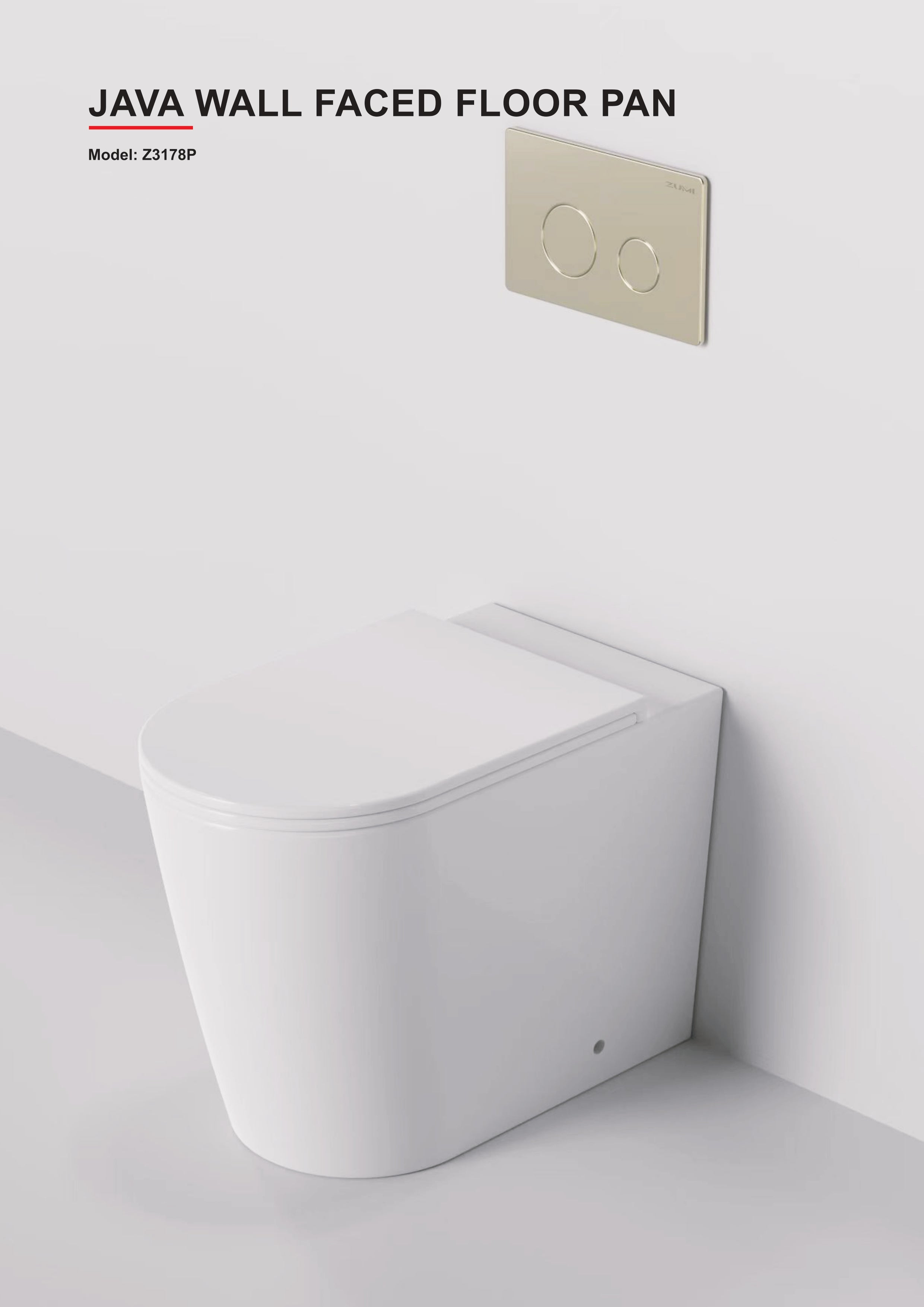 JAVA WALL FACED | FLOOR PAN & SEAT | RIMLESS | IN-WALL TOILET