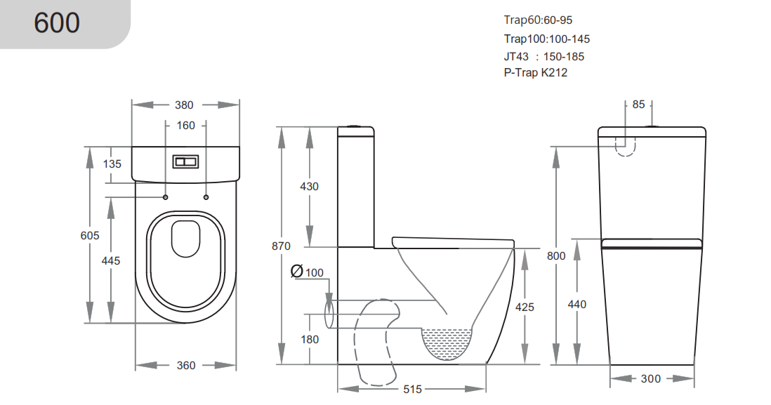 AVIS | RIMLESS BACK TO WALL COMPACT TOILET SUITE