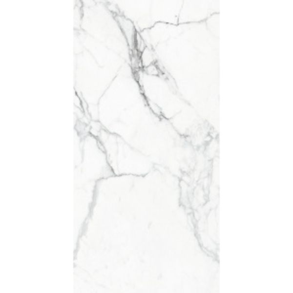 STATUARIO BIANCO | MATTE | 600X1200