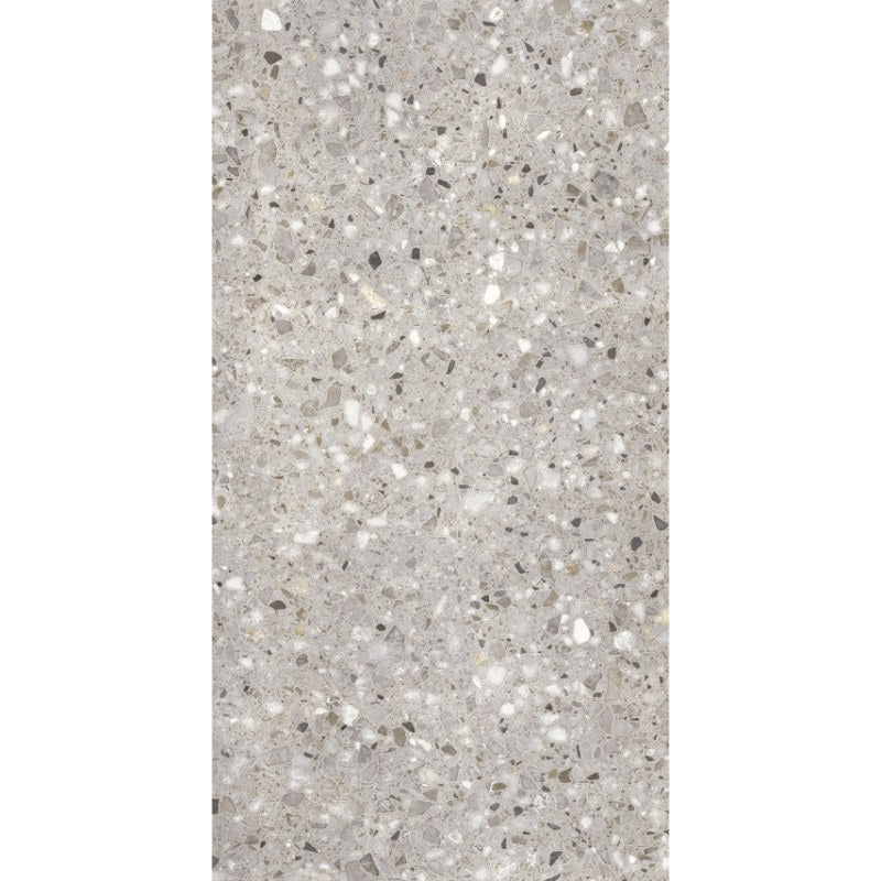 FRAMMENTA TERRAZZO | TAUPE POLISH | 300X600