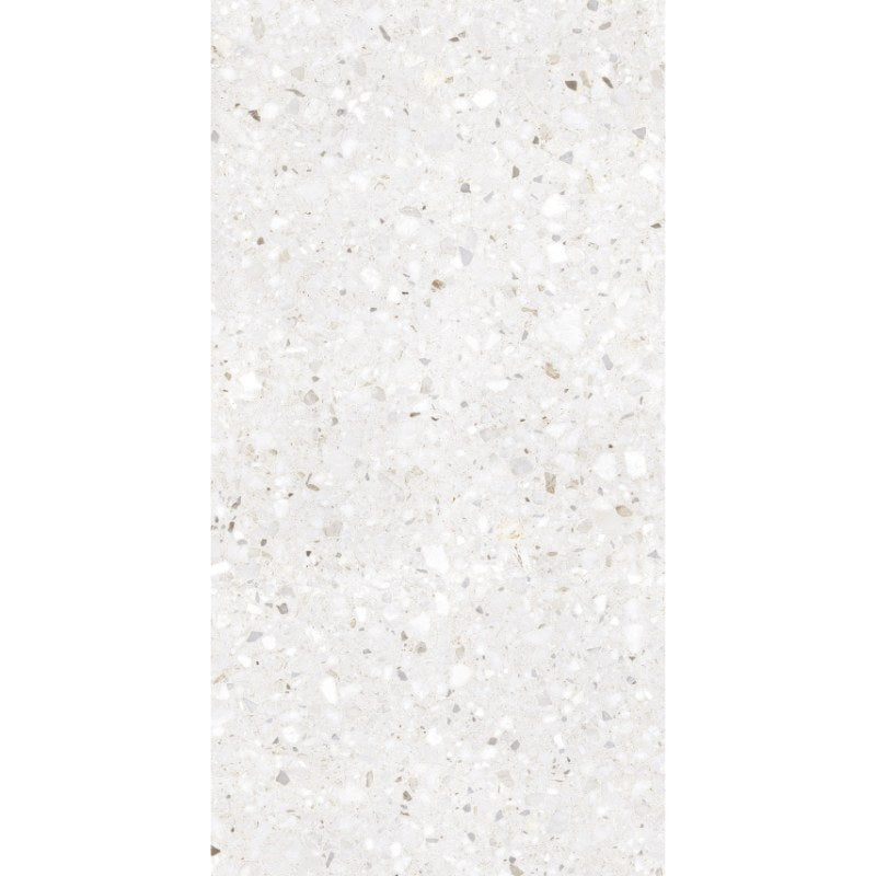 FRAMMENTA TERRAZZO | BIANCO POLISH | 300X600
