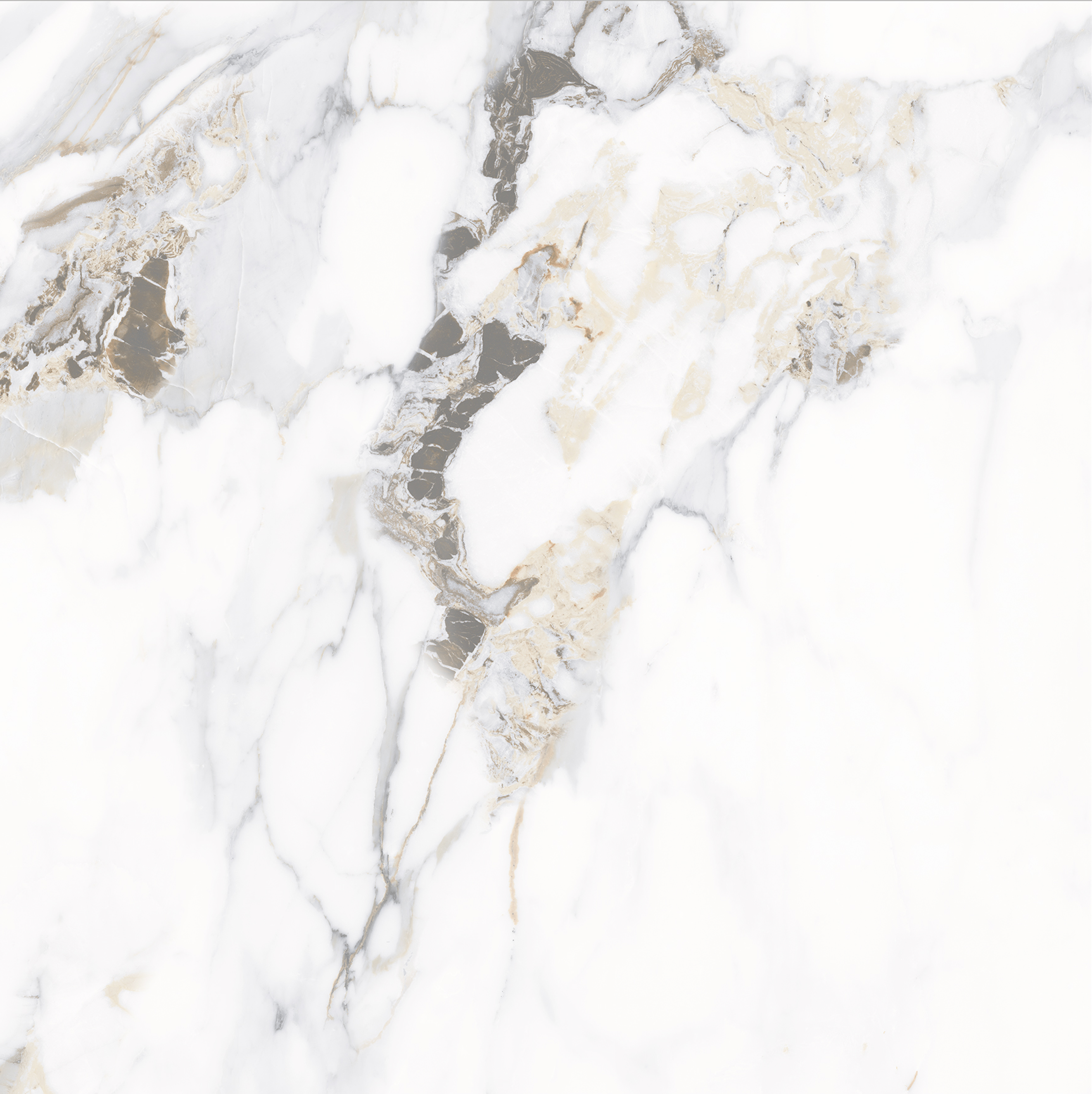 CALACUTTA | ORO | POLISHED | 600X1200