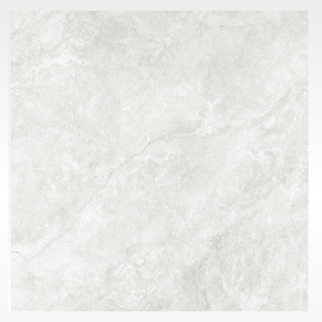 EVEREST SILVER | MATT | 600X600