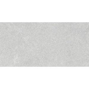 VENUS Light Grey Matte Tile 300x600 - Stylish and Versatile Wall Tile Option