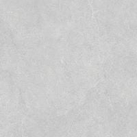 VENUS Light Grey Matte Tile 600x600 - Modern and Versatile Flooring Solution