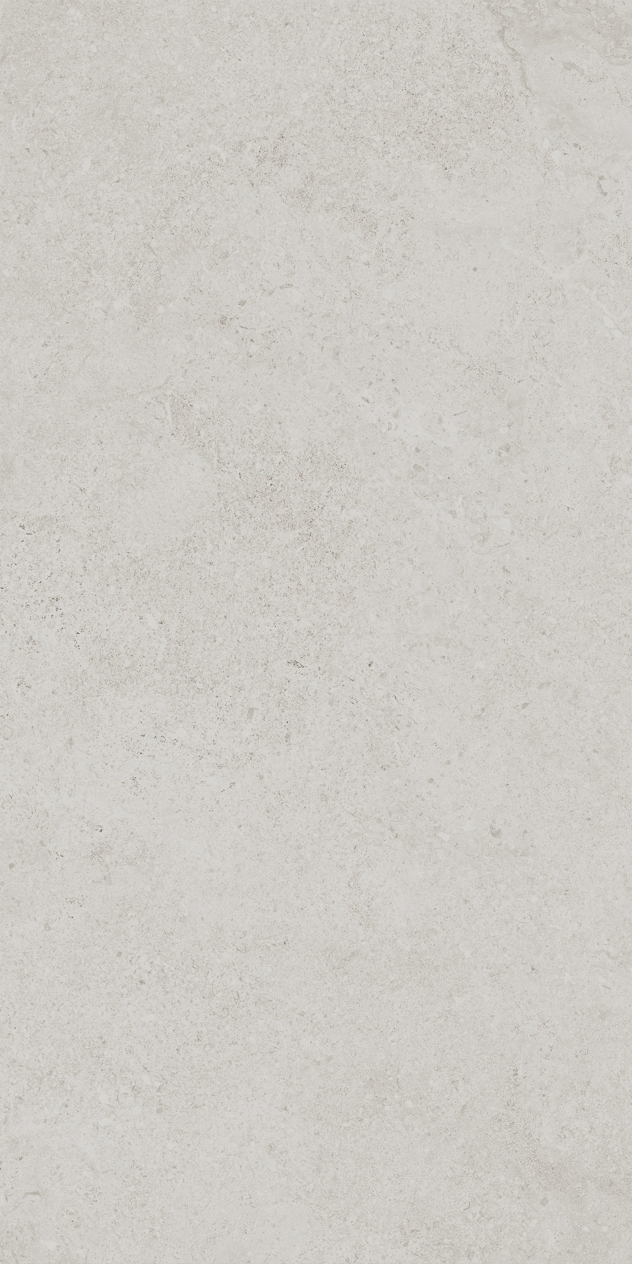 MILANO ASH GREY | MATT | 300X600