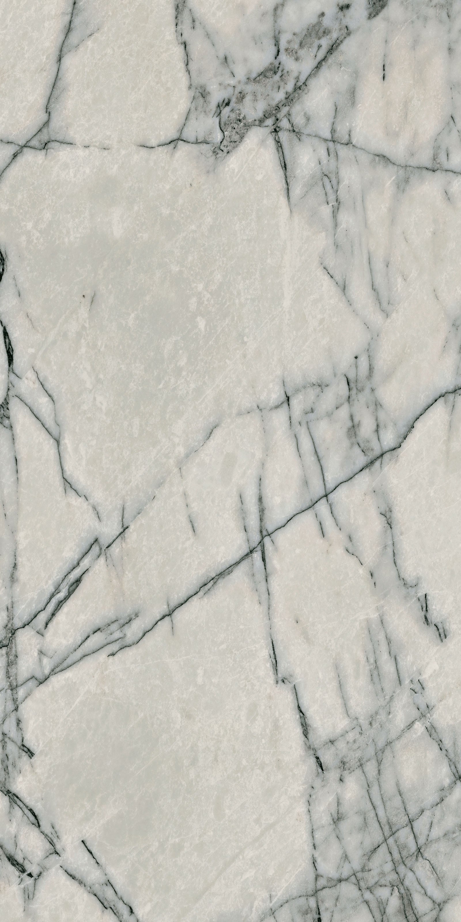 SENSI SIGNORIA | LILAC GREY LUX | POLISHED | 600X1200