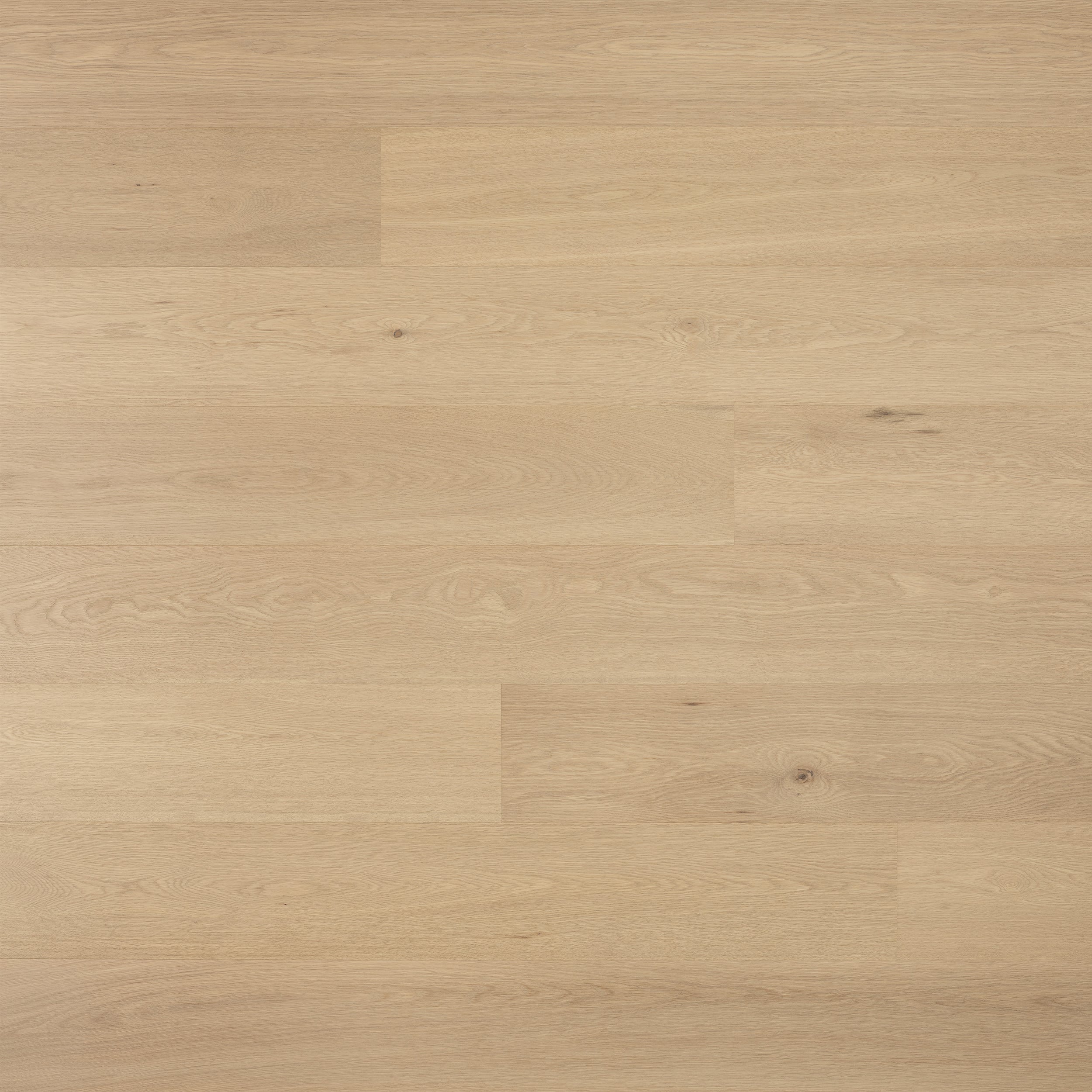Engineered timber flooring close-up wood grain. Flooring installation Berwick